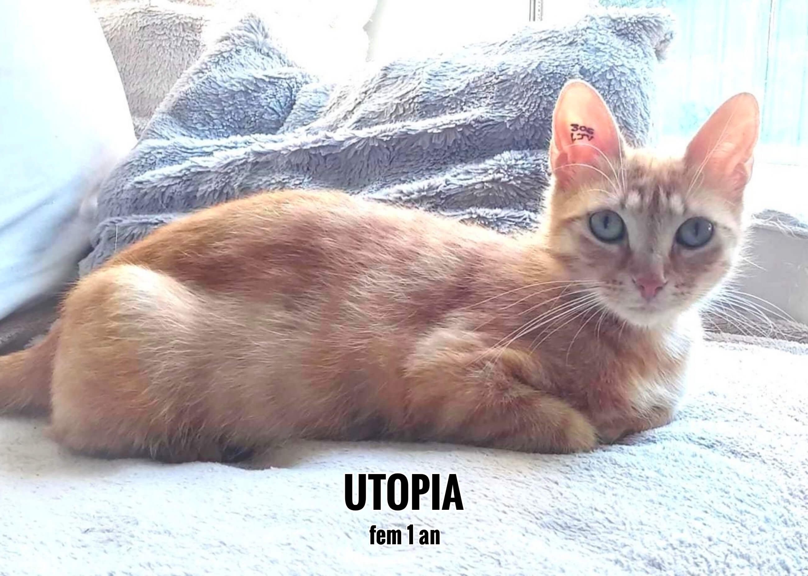 Utopia, visible sur Eysines (33)