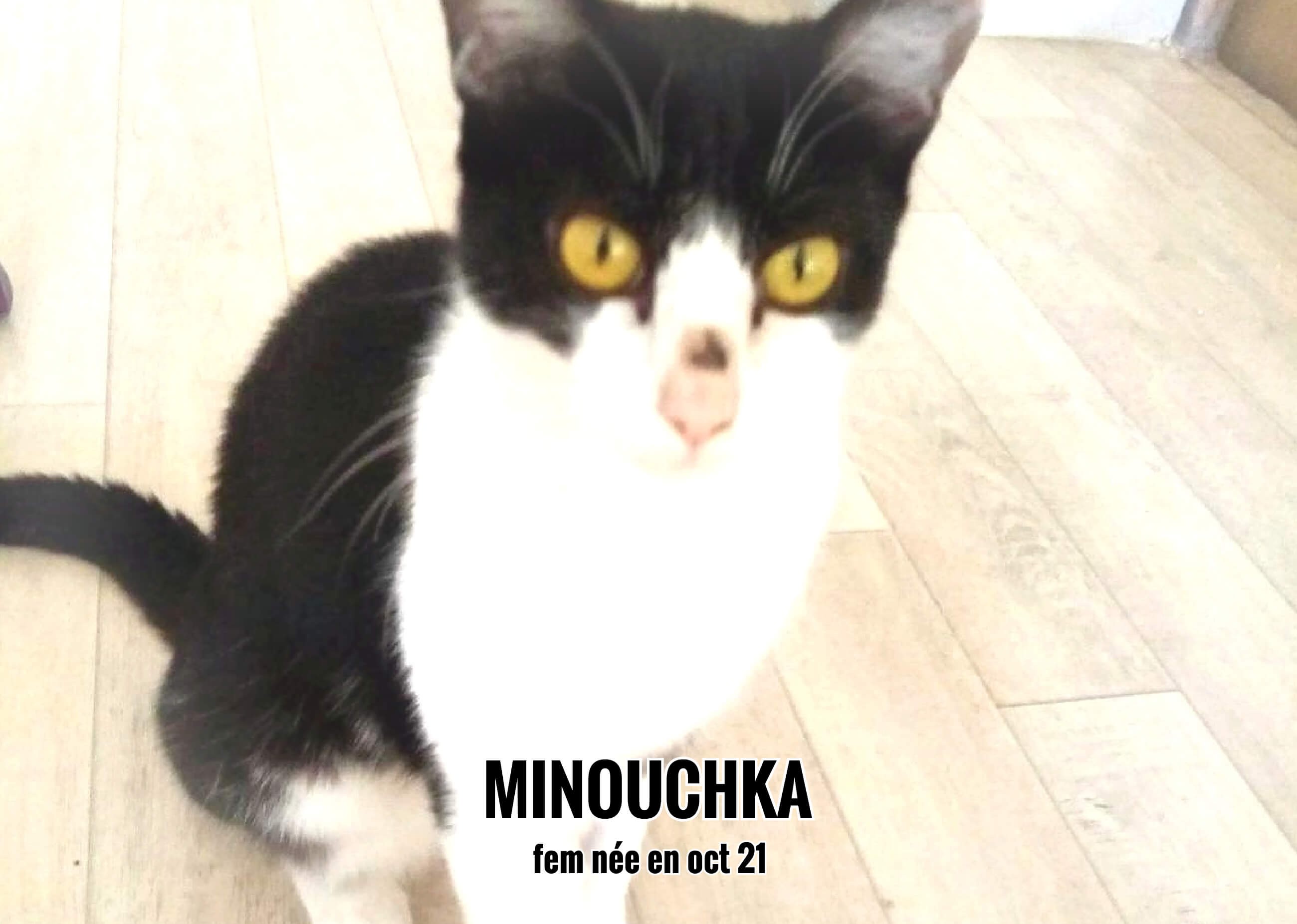 29/07/22 : Minouchka était très attendue par Christine et Alexandra aujourd'hui (33)