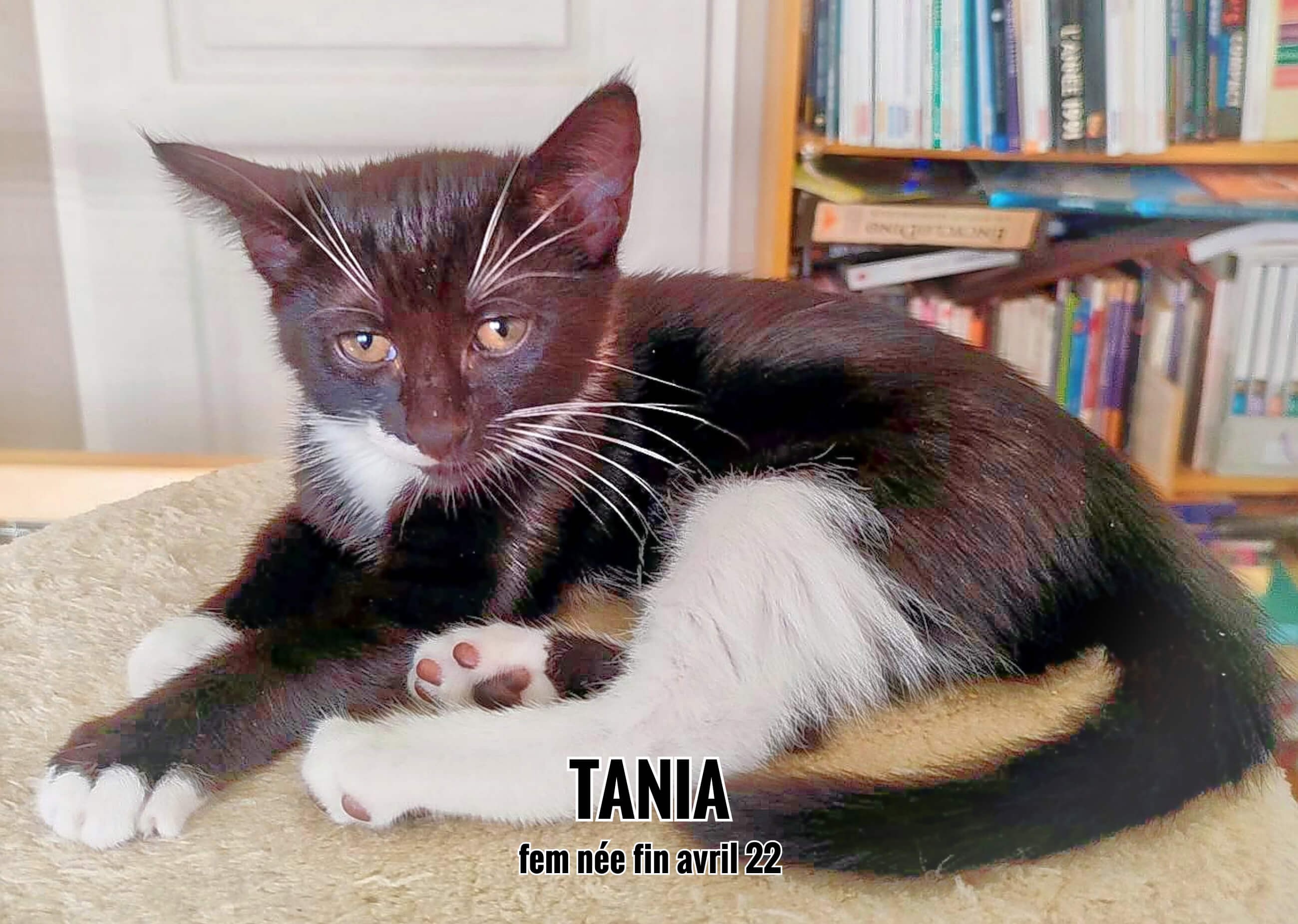 Tania, visible sur Parempuyre (33)