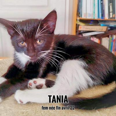 Tania, visible sur Parempuyre (33)