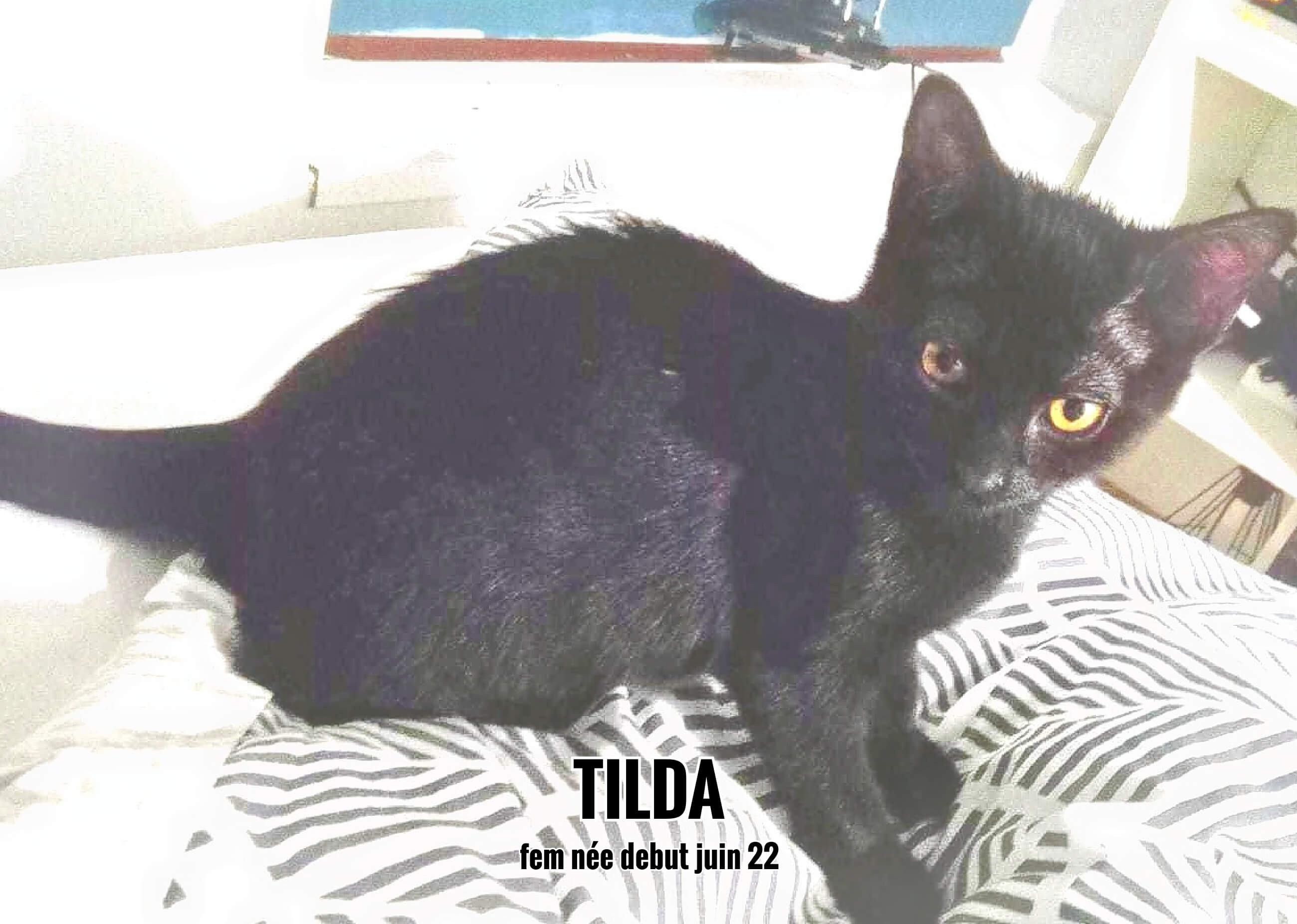 01/11/22 : Tilda a fait craquer sa future famille, elle est réservée(33)