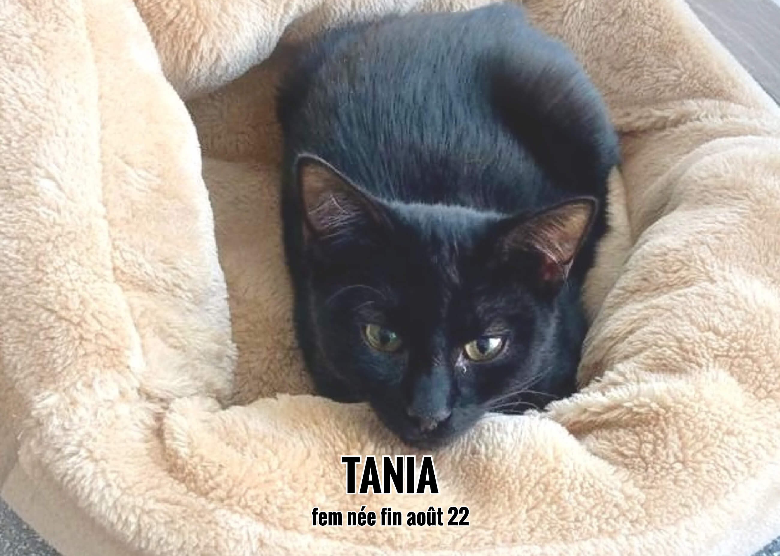 06/03/23 : Tania va très bientôt rejoindre un congénère dans son nouveau foyer