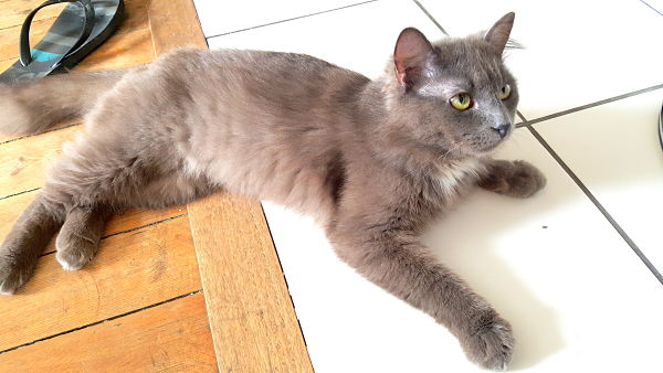 20180603 132330 opt