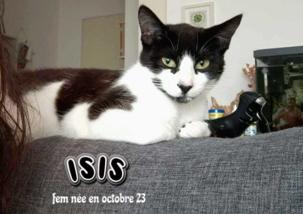 ISIS  visible sur Villenave d'Ornon