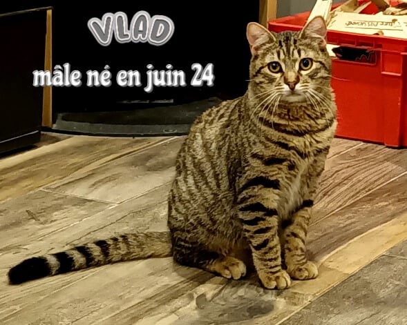 VLAD visible sur St André de Cubzac 33
