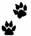 002 clip image005 2