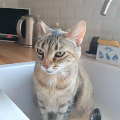 20180717 212255 opt