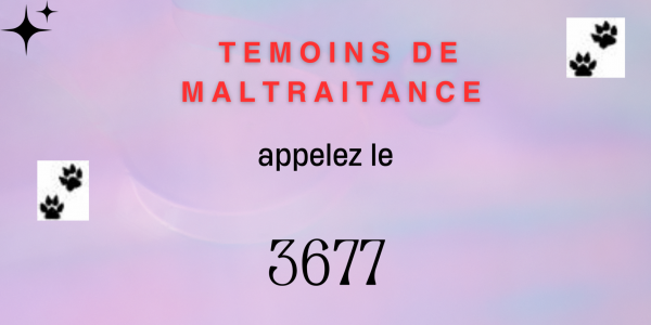 3677 1
