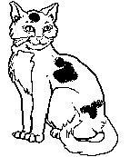 Chat 03