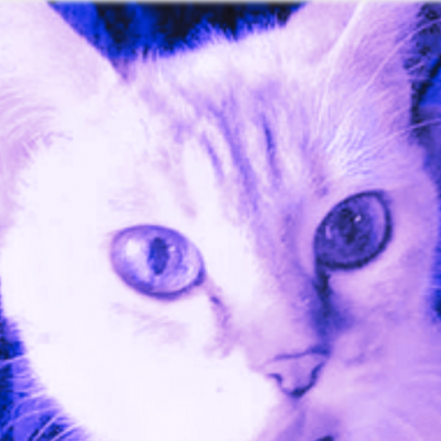 Chatte lola