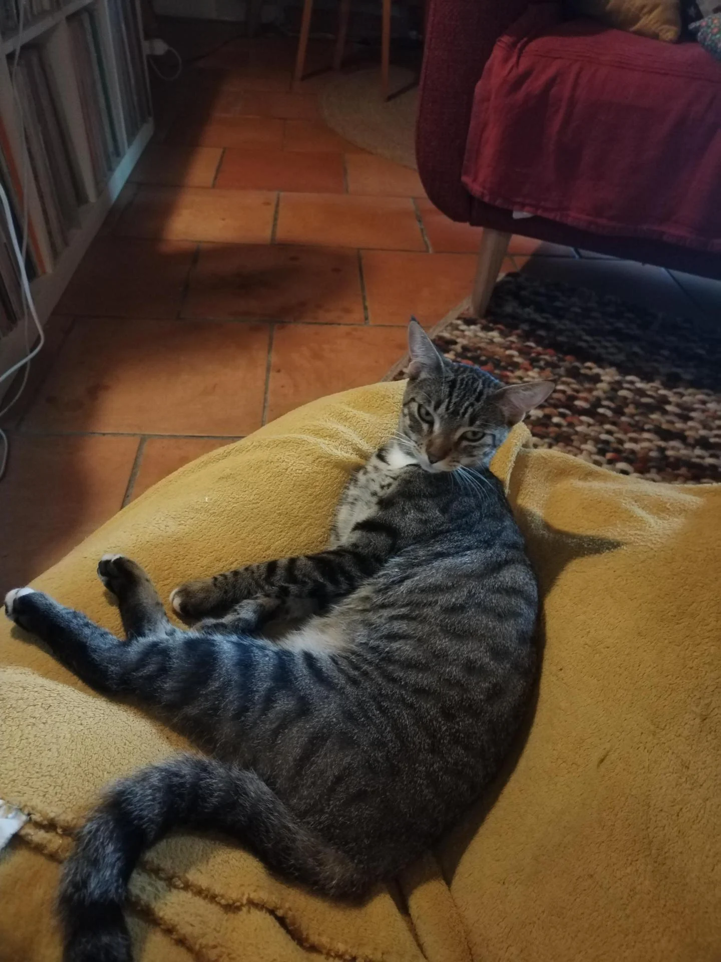 MIA a été adoptée il y a 4 mois