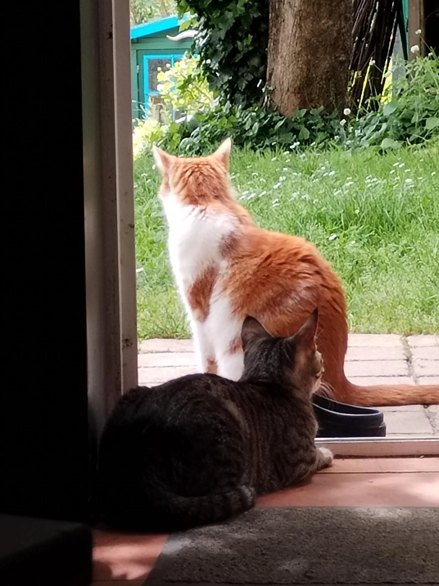MIA a été adoptée il y a 4 mois