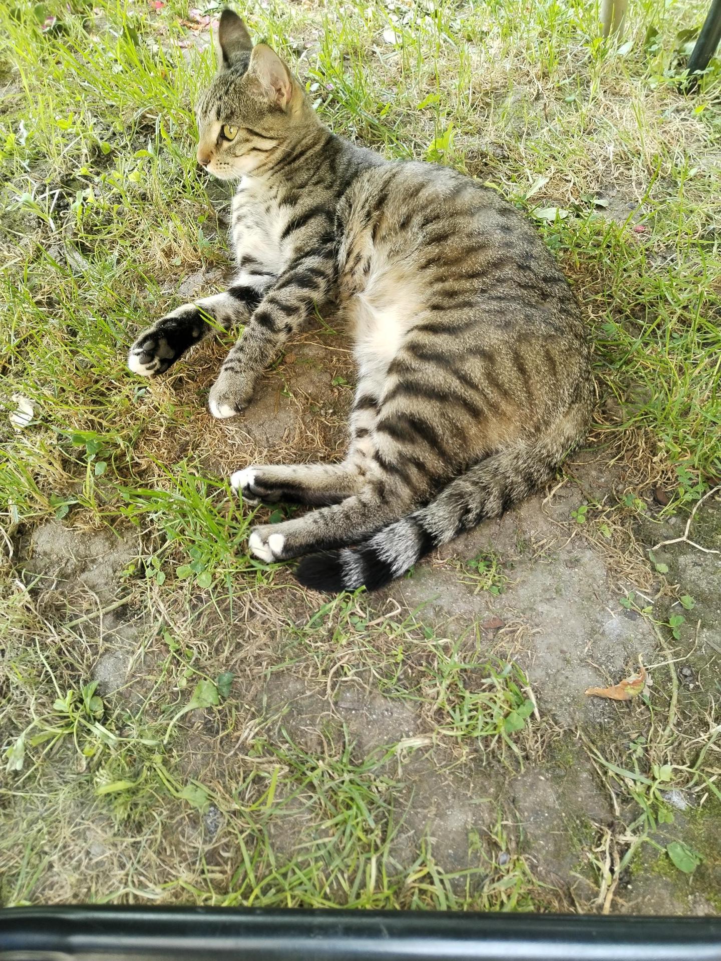 MIA a été adoptée il y a 4 mois