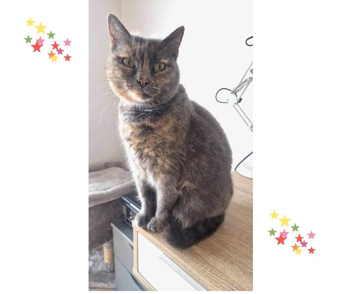 5 ans de vie avec sa famille pour MUSHI, elle présente ses voeux