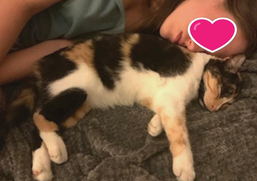 ROXY, 3 ans de câlins avec sa famille