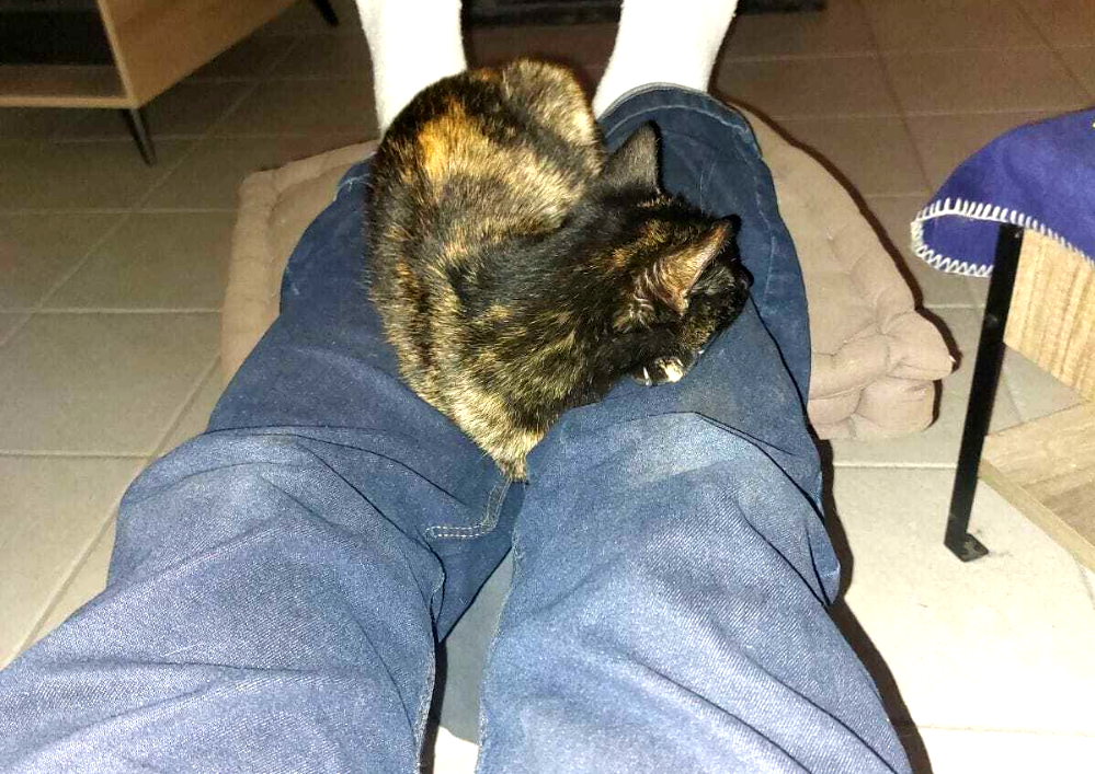 LILI depuis 2 ans avec Jacky et Loulou