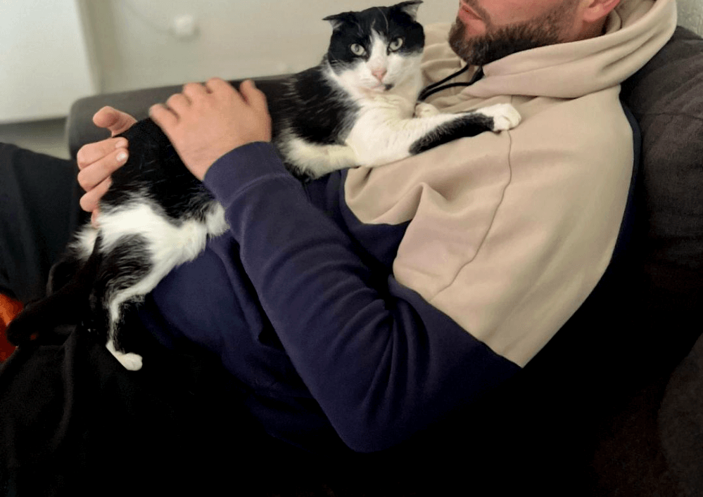 8 ans de vie heureuse pour LEO, alors que chaton sauvage il avait été sauvé de la rue