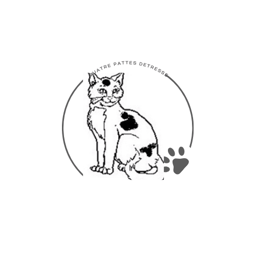 Adopter un chat dans le 33 !